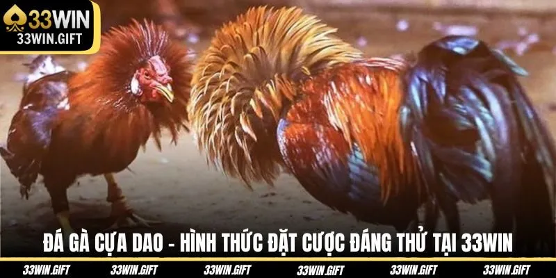da-ga-cua-dao
